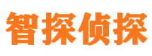 溧水外遇出轨调查取证